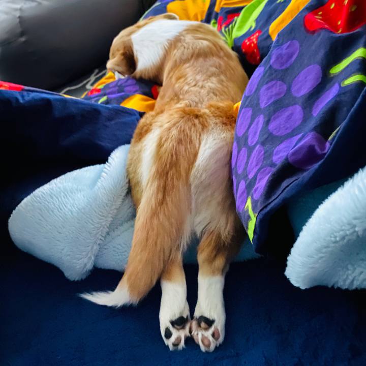 944ac744 e68b 4563 9de4 75802b0faeba 1580164486365