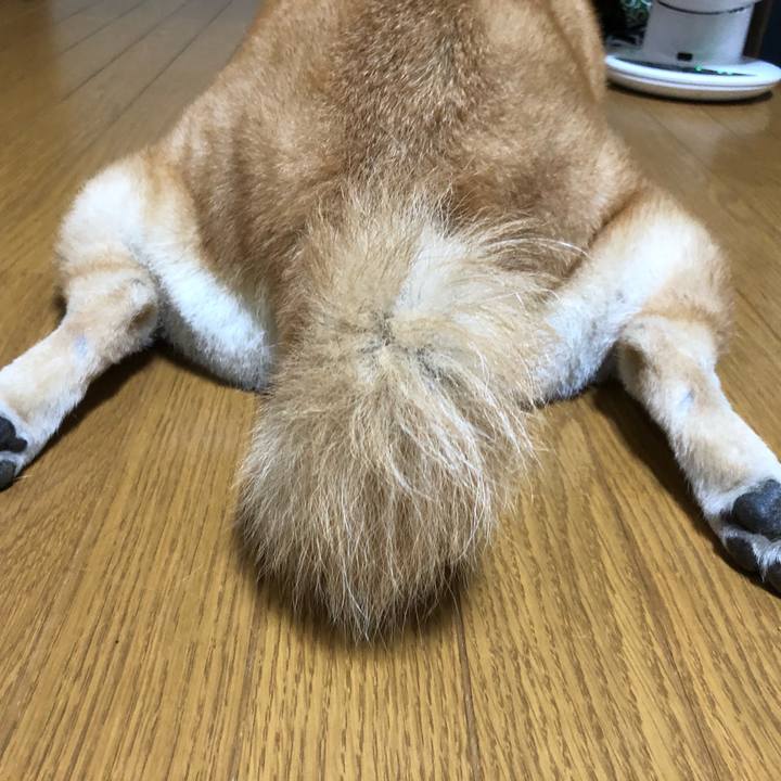 944ae5b0 bf5e 492a 90e0 25965d93c8e4 1601033063693