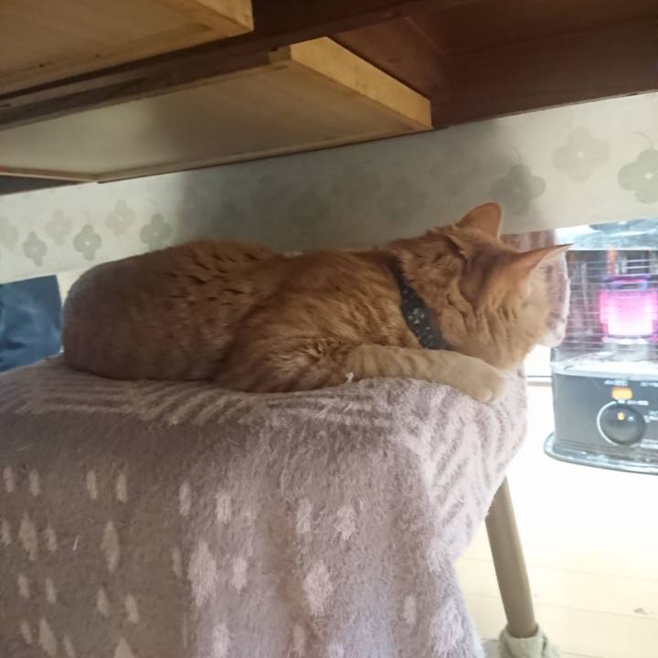 944af2d7 54ae 46f9 9be6 6dd6aaa2c286 1645999679266