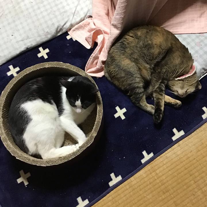 944b02ec 2ad9 49a9 804d 801a5c41de48 1715685450763