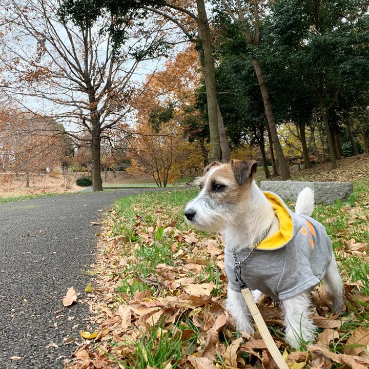 944b4dad 7e76 4ed5 8596 76afef3734ef 1576199582071