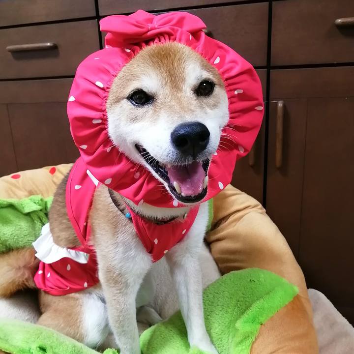 944bdf7b 069d 4095 8ecf 1ef440d7b398 1691156809917