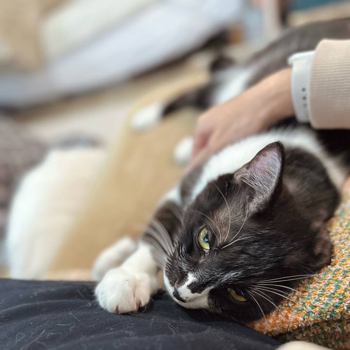 944c31bf eb58 4f06 97a2 228bd19346d7 1766627183755