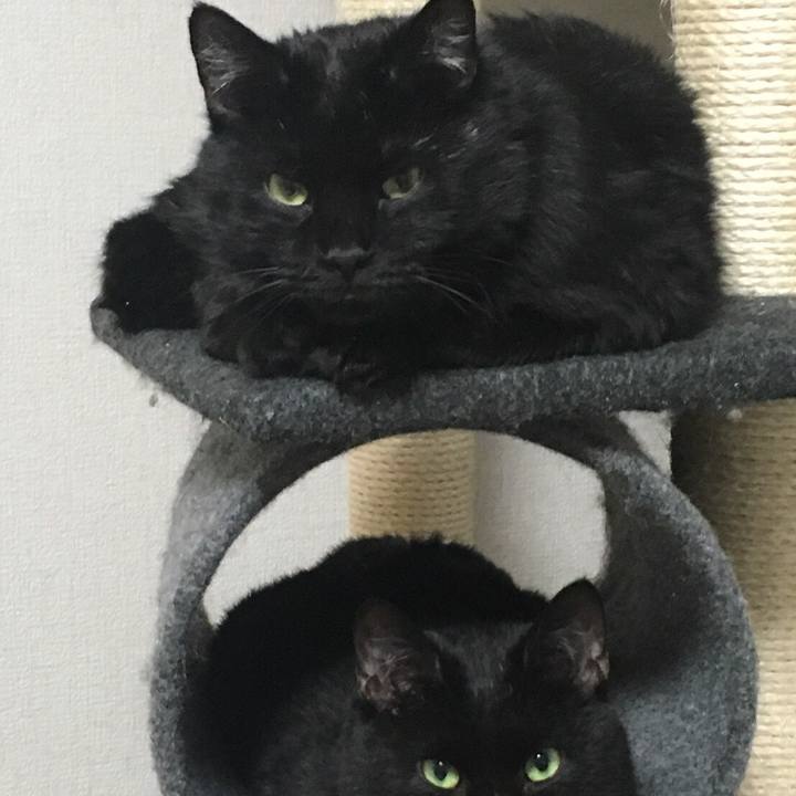 944c5025 9413 4c0b 96ba 8eb8af052691 1534478248163