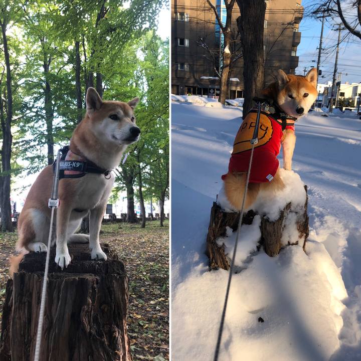 944c50a5 38ed 4379 9b35 95499085a5c4 1548825616786