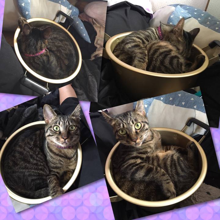 944c7937 86b2 41f4 a6bf 84b98dd54983 1563593221666