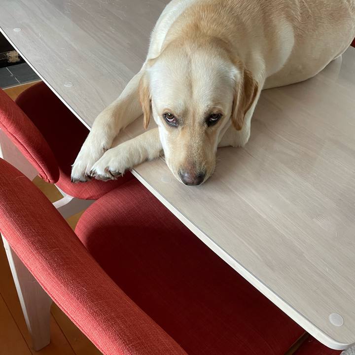 944ca92d 2d87 4084 a909 a22b111c95b4 1654084621156