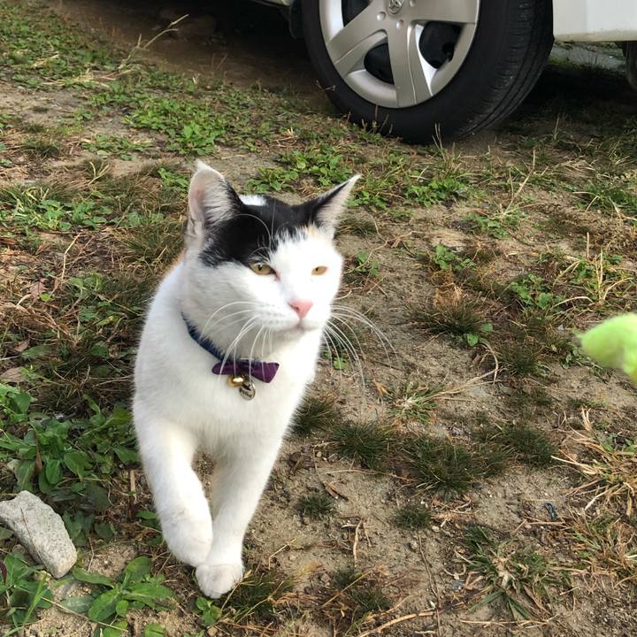 944cc6ff 824c 4b3c 88d8 c6ccd255dfcf 1636066059789