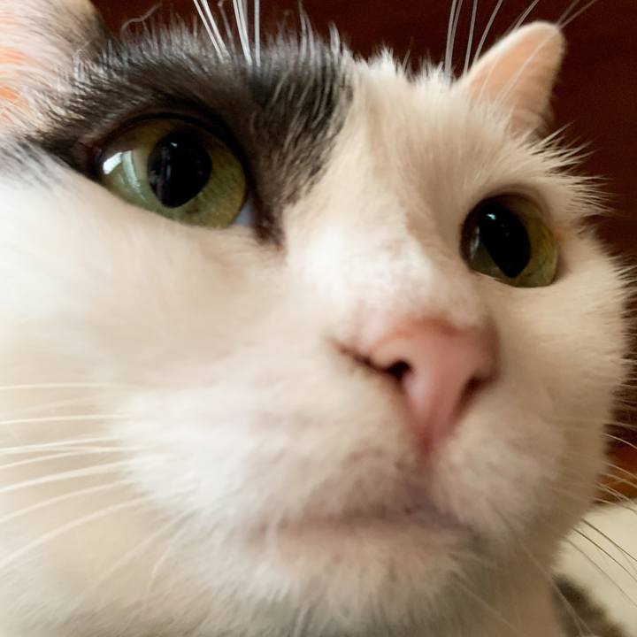 944cda0c b95b 4696 8685 6e120440465c 1593483957018