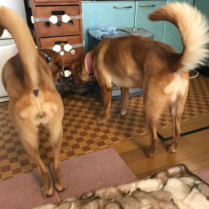 944cf55a 49c7 4cee 926d b1da8aff65bb 1527397555153