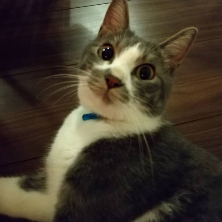 944d4b49 2106 4dc9 a525 79d40aab2750 1599918006802