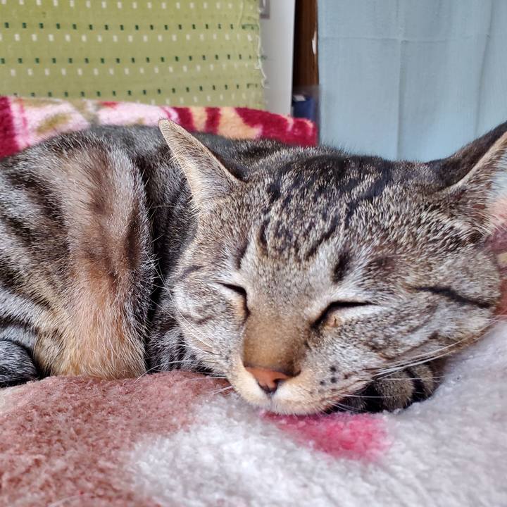 944dc364 a828 438b 8e20 d00a3e08ddf9 1710149170724