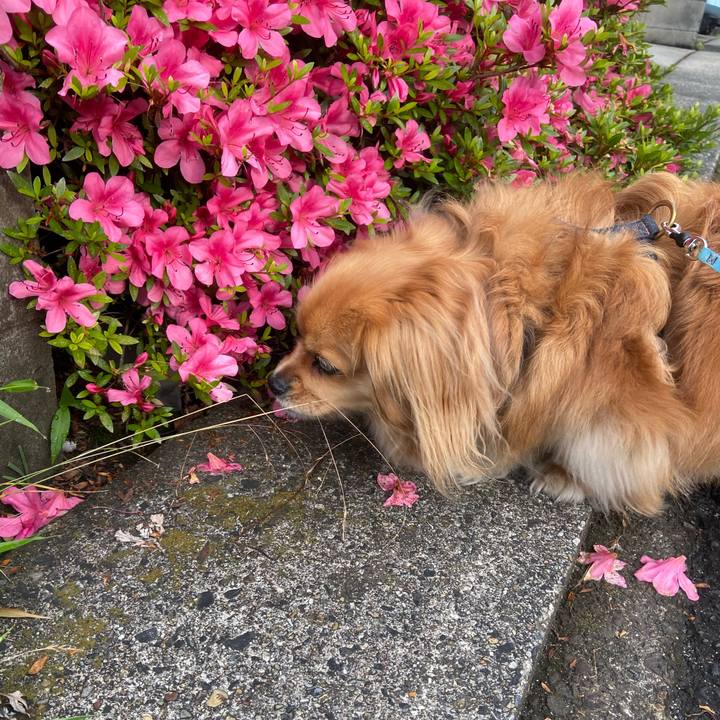 944dd2c2 030c 4c0f 99c5 f20d7b9c42f9 1590961257118