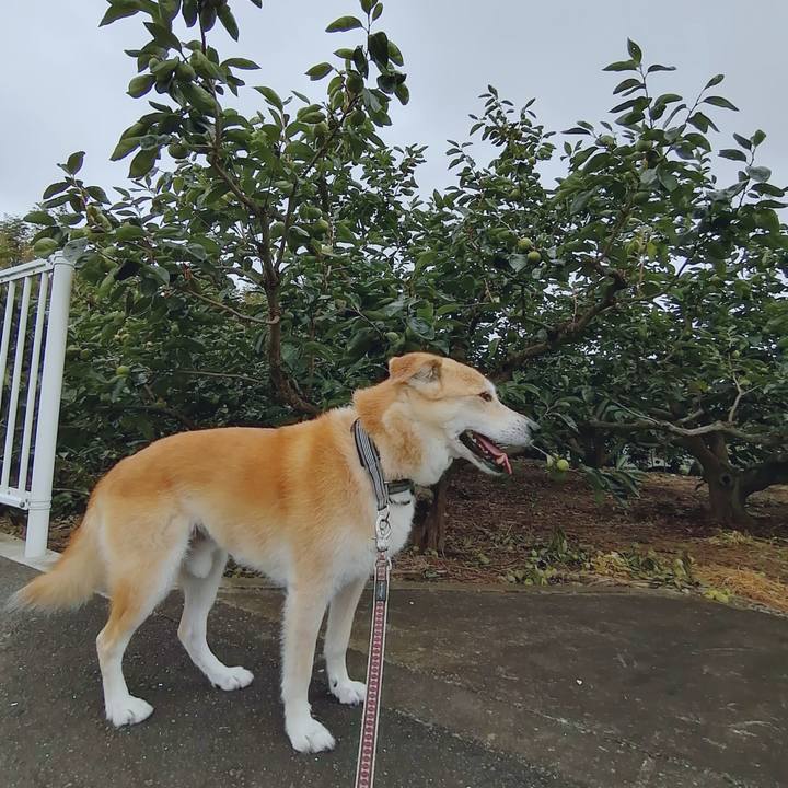 944dd469 59ac 40a3 9d06 f3f23eaf49c3 1598258631596