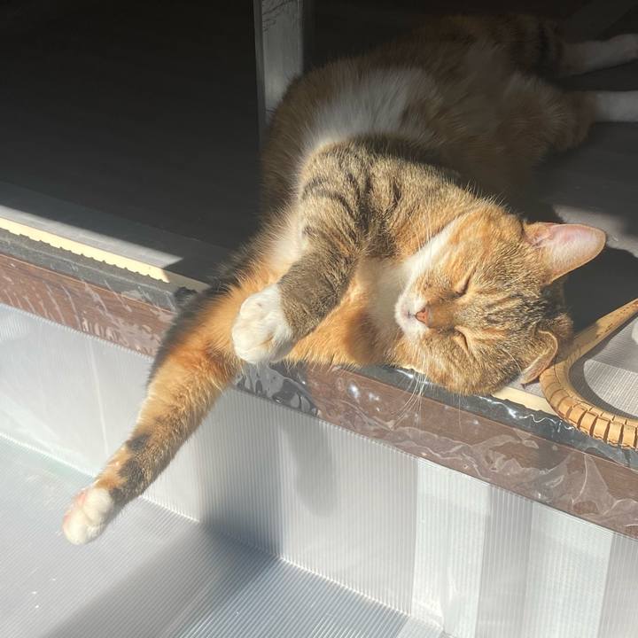 944de0a5 6143 4819 9adc 1f1aaf9d6b49 1639365290890