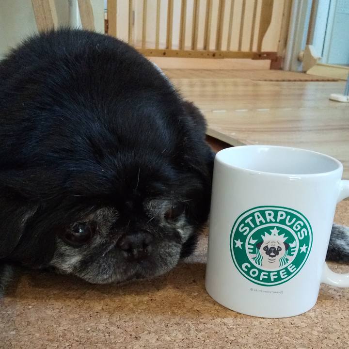 944de0c3 f596 45e1 a3ad c1a0df218f87 1563347787479