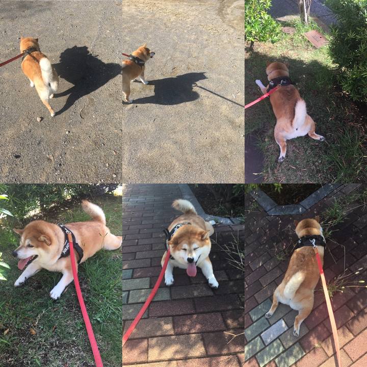 944de38f fad4 4b80 b5c9 628576df519b 1599522628334