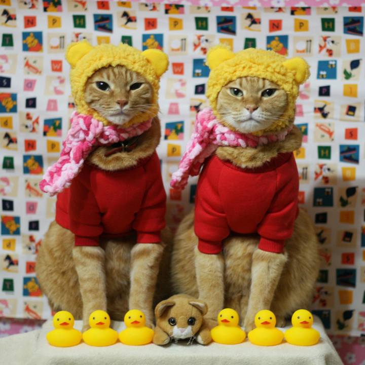 944e290d 5862 4ff3 a225 fa83cbc778fc 1517221912945