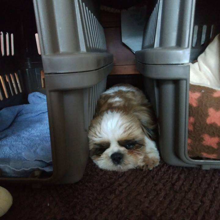 944e49bd 50ef 4fd1 8f23 cdd427184697 1541568509013