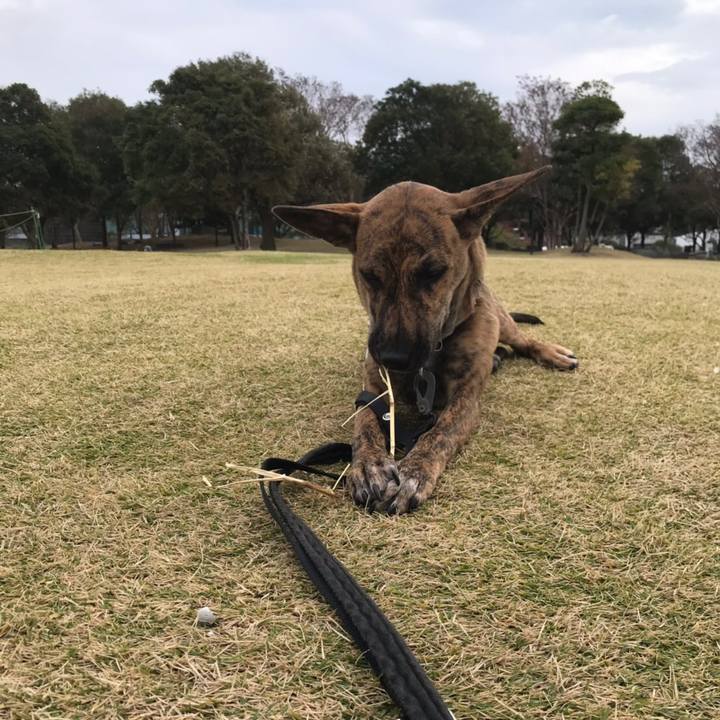 944e699a dd76 4bb7 8ab9 ebca898bd889 1575603012191