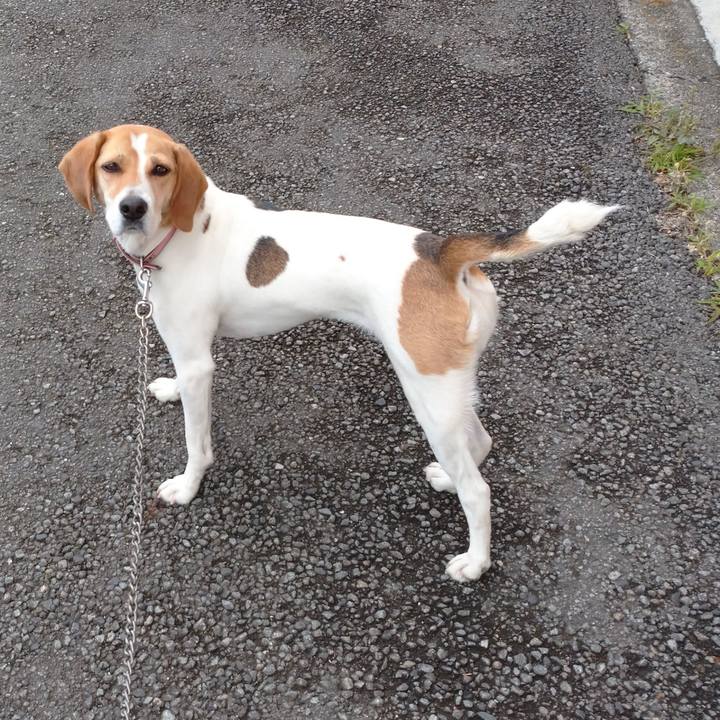 944e8dfe fde7 4de6 a25d b54fbfa987a8 1593061372344