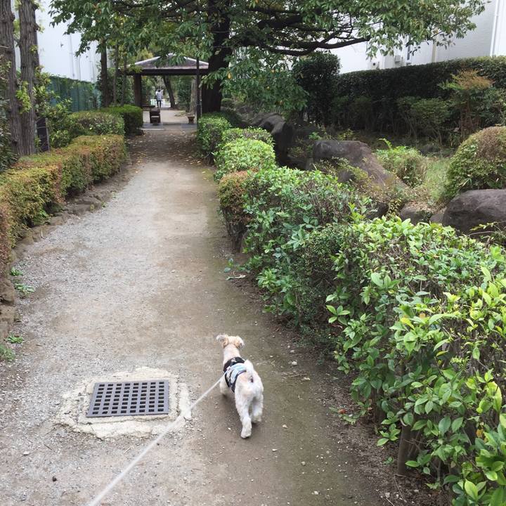 944ec1f4 9472 4a02 a380 505f98dcc118 1538978017659