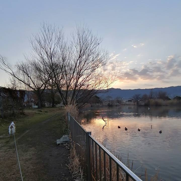 944ee9c6 e46f 48db a95d 6d0a01f2e5db 1612570817762