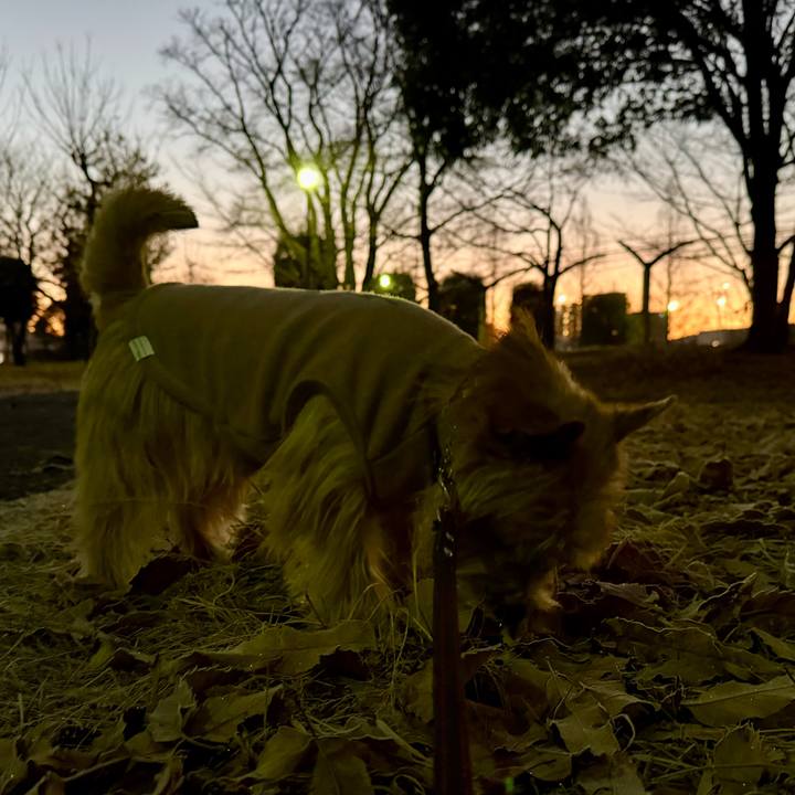 944ef9d8 d503 41d7 9d29 118b80f6fa58 1767838115465