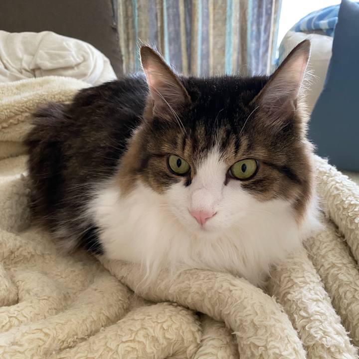 944f0d54 f649 4550 92b6 a83bcc96bea3 1667169540253