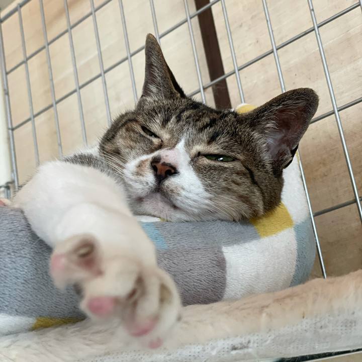 944f5538 9bfb 4bcb bb2e f90c07fff4f3 1623462736376