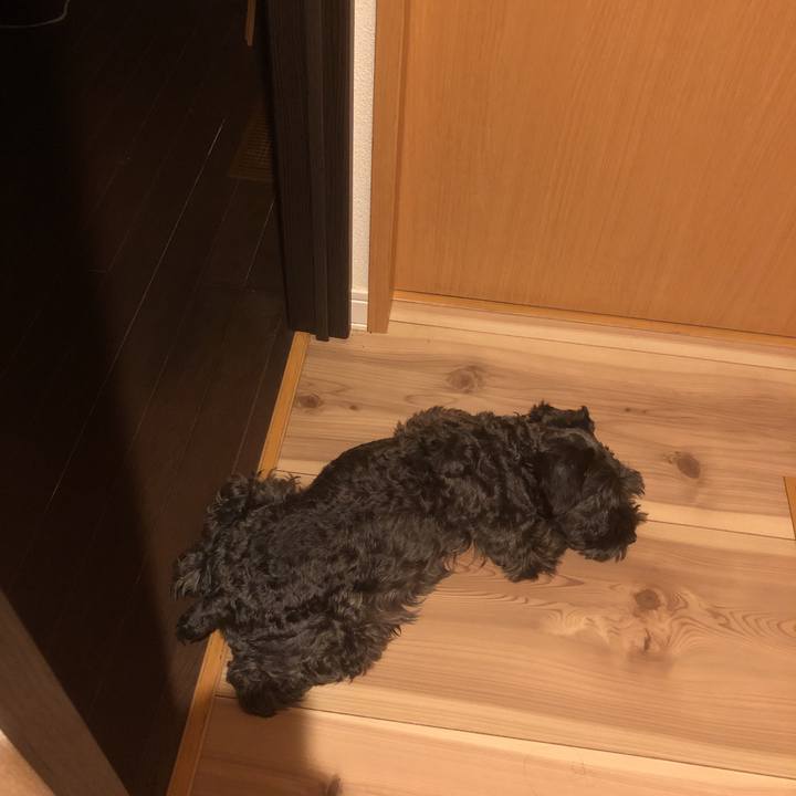 944f65c7 3665 4b2b 976a 3818f3ce0fb8 1561808119187