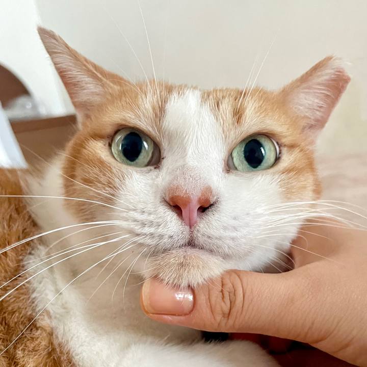 944f90f5 32dd 47d1 a7ac 98c3a6aff841 1729310156391