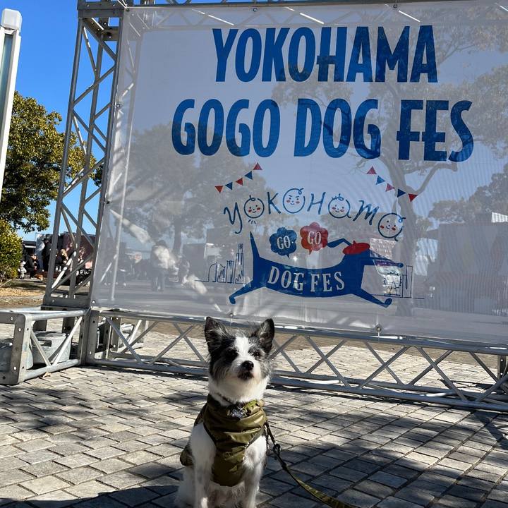 944fc705 6447 49ca 9a4e 2c14d1867a8e 1740293775246