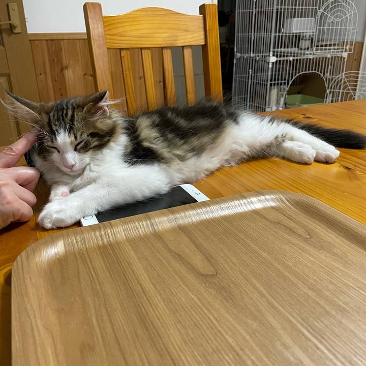 94504744 eb92 4fd1 9bd7 6182b5dedef7 1633343822999