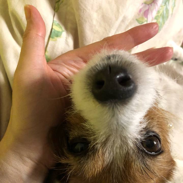 94509fbc 5494 45d8 96b0 29af31be8fc7 1555847839763