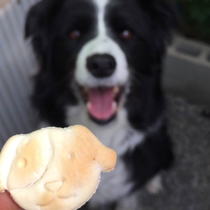 9450cdf9 678b 49d9 8c0a 6c768ca370ab 1588206497481