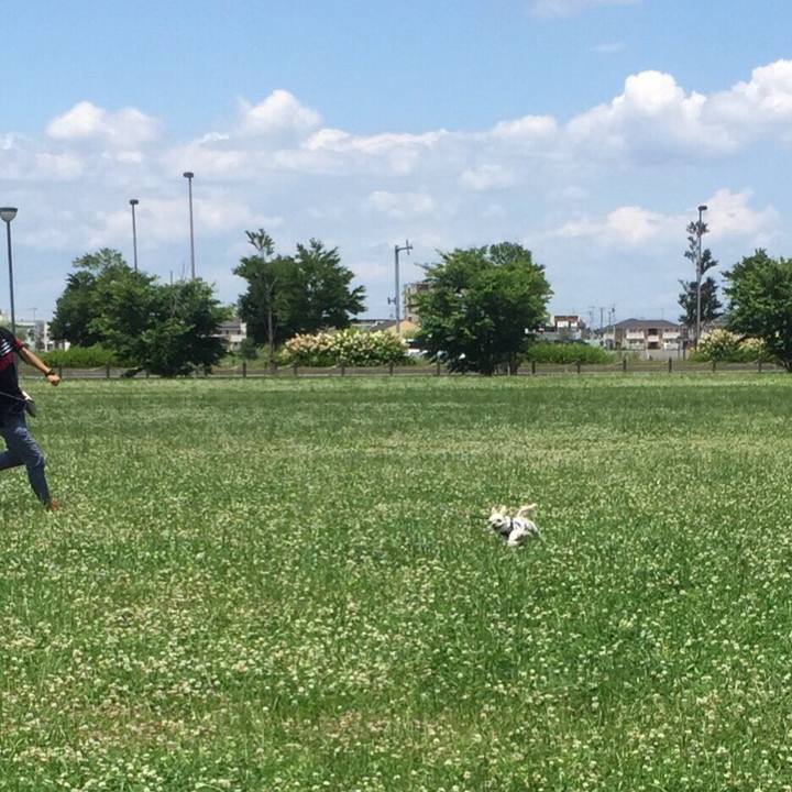 945110b8 b9cb 4ef1 b150 aabc9394915f 1527937435677