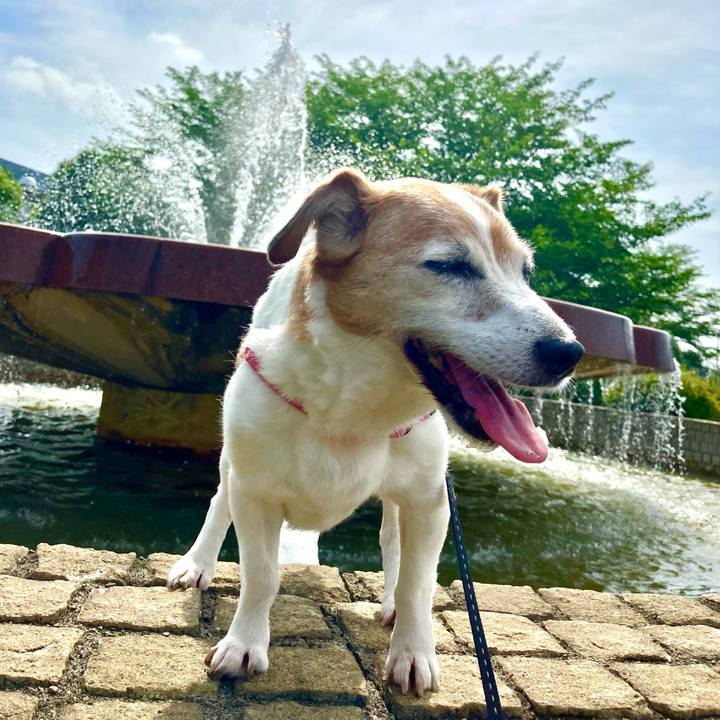 94513c5d 03f4 4edc bbd2 a8e821bd5f2d 1720312030970