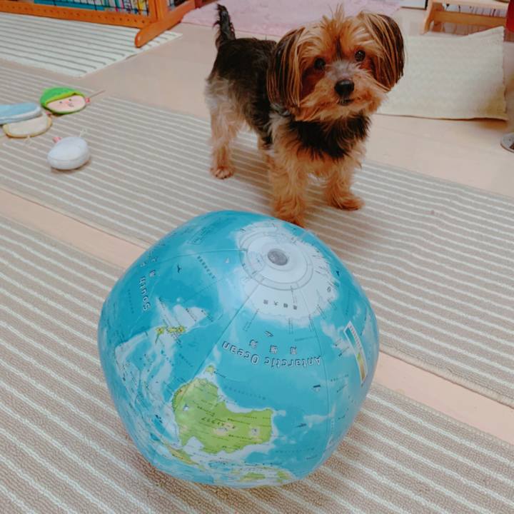 9451786b a7f9 4eba 849b fa8c132036d2 1579935229945