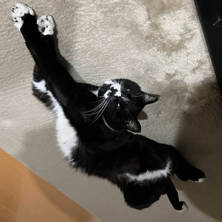 9451aaf9 acd6 4ca3 b870 2cd24054f626 1717126338002