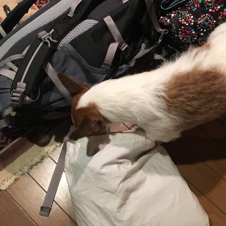 9451c56c 6718 4860 a744 365897e94932 1566815913640