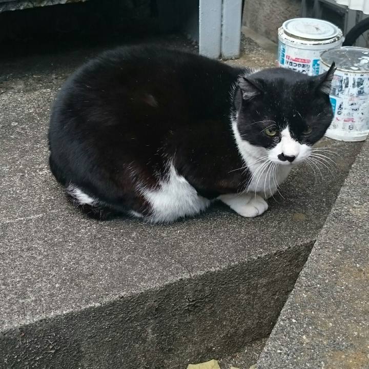 9451cc77 1b9a 448c aeba 9d19650b9122 1513741313914