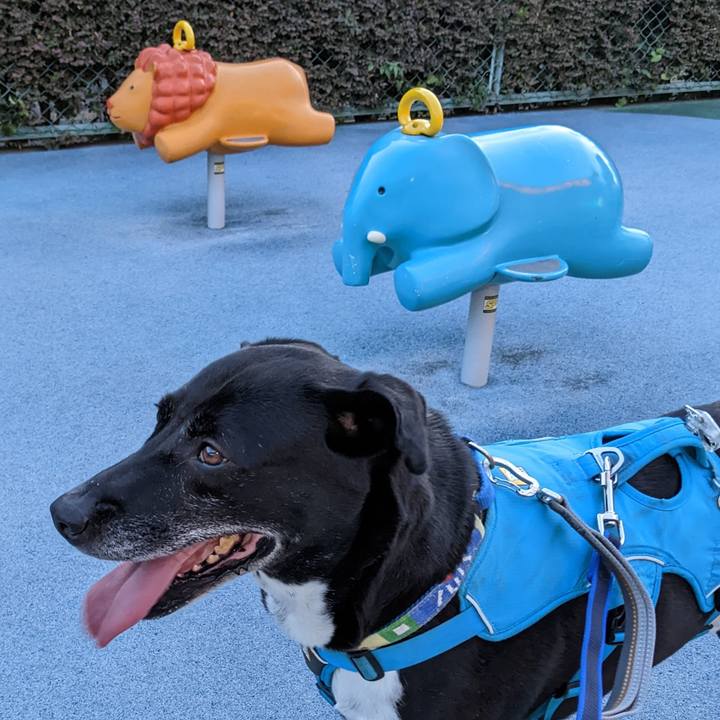 9451cfb9 9795 4aab 8213 191ed4dbdd1c 1690970741970