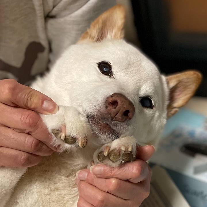 94520744 d6ae 476c 875b 7bac657193ea 1659313630481