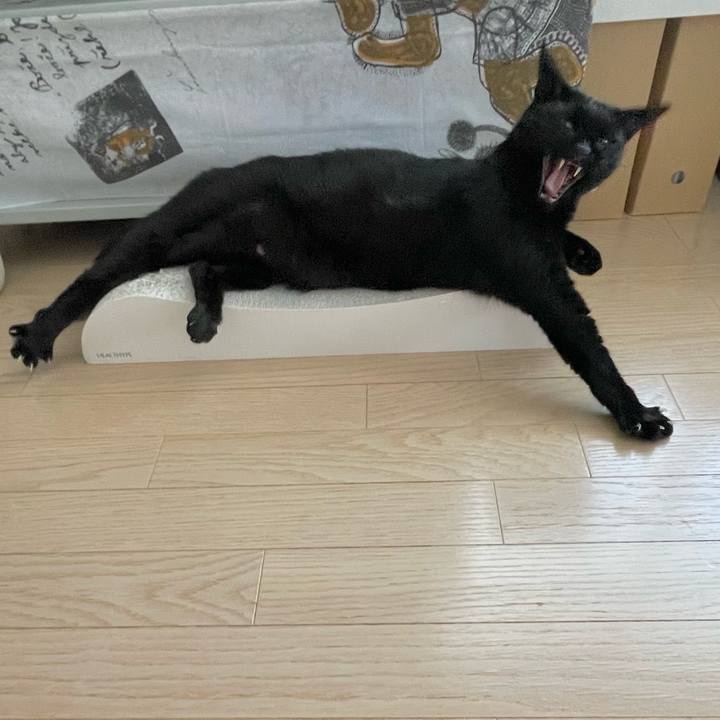 94521c9f 2baf 44f6 92c1 70b4d983021d 1662982513146