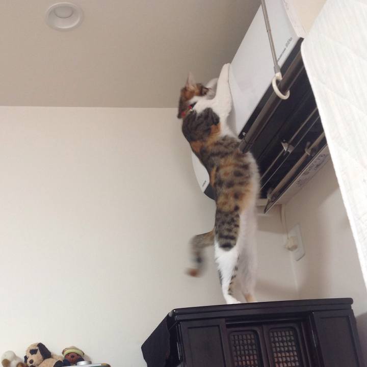 94525362 1b91 465b ab75 230a5ce63b81 1642564734141