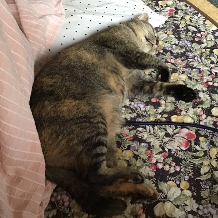 94528f78 98a3 46fb b007 49b5aa823181 1655513882667