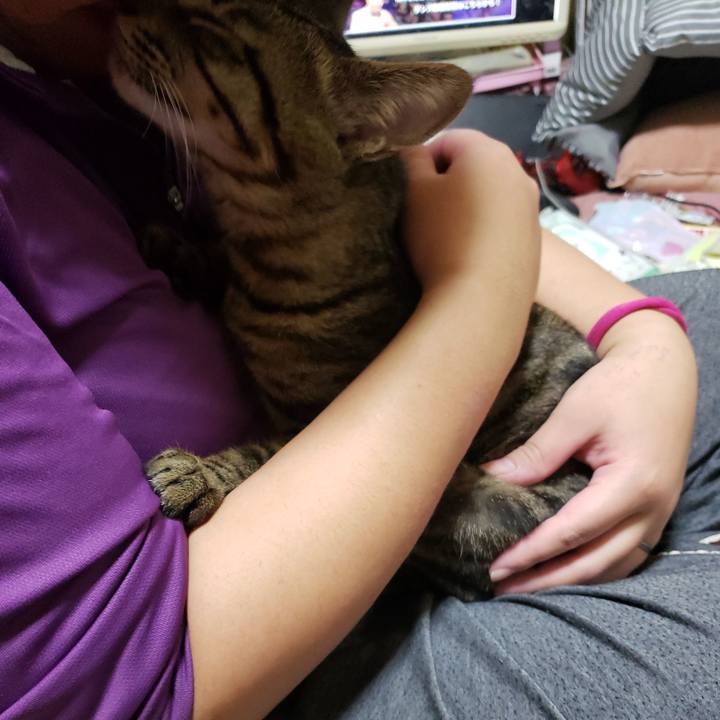 94529b14 edb0 4e46 baf2 03589ece5962 1543742376760