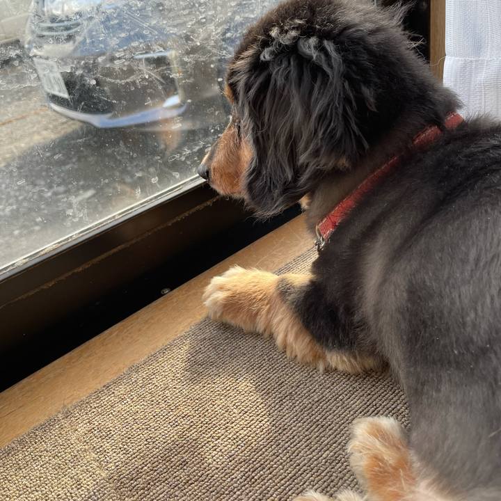 9452cc62 0a42 4c79 81b7 dd37becd1a27 1618351091682