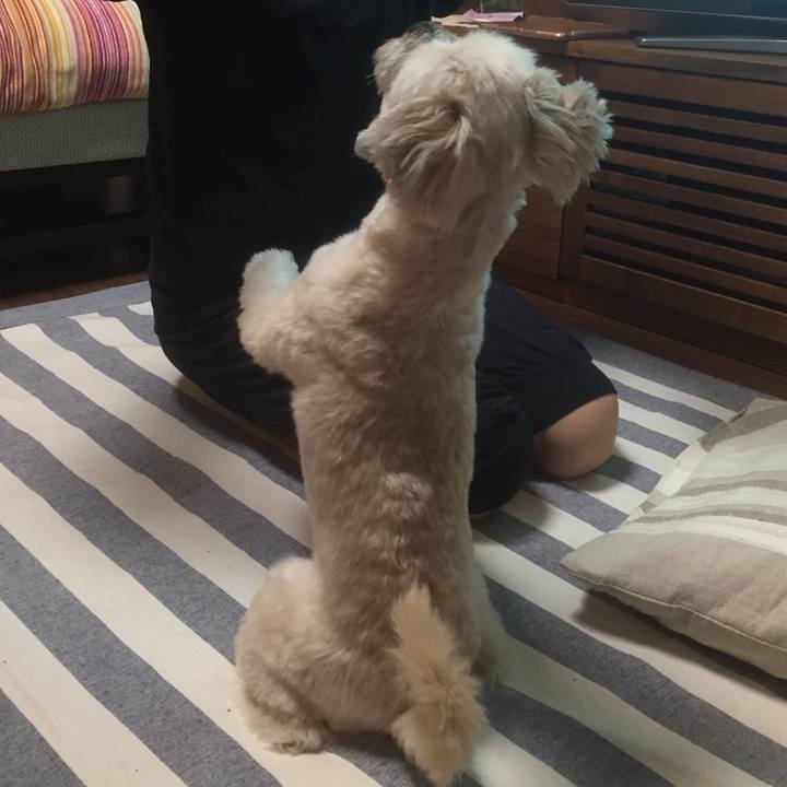 9452e9c7 505e 4d18 8c8f 3da6a14da212 1559732787908